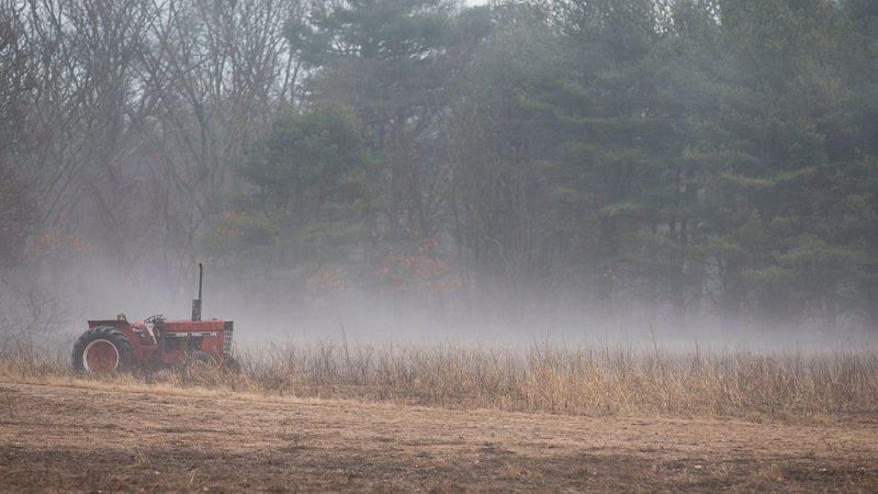 Temperaturas mínimas significativamente bajas en amplias zonas del interior peninsular