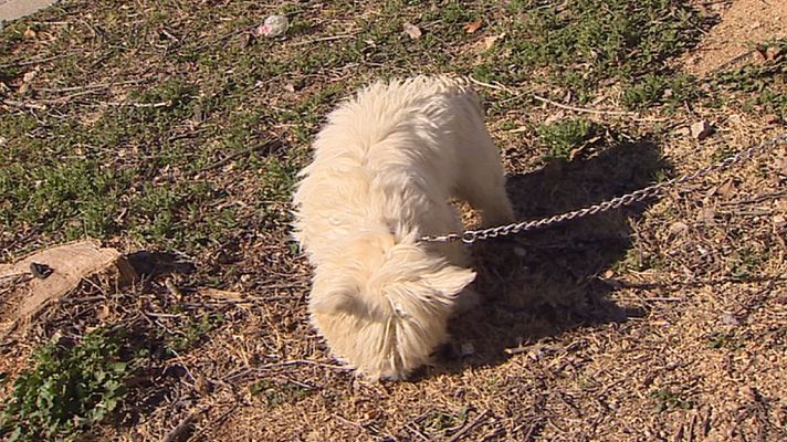 Informativo de Madrid - La Comunidad de Madrid en 4' - 23/02/18