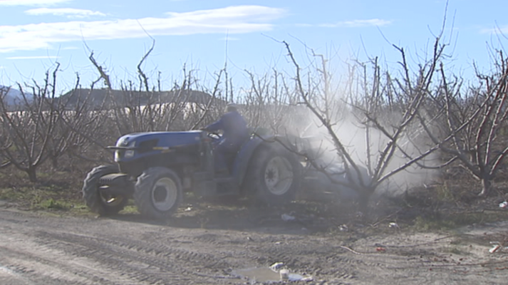 Agrosfera - Agrosfera - 24/02/18