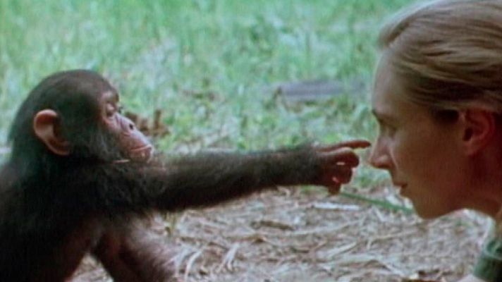 El documental - Grandes momentos de la evolución: el milagro de la vida