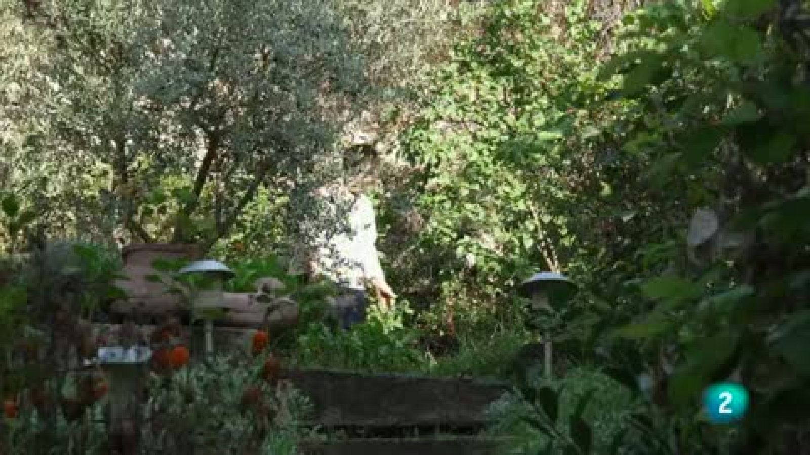 Las Rutas Capone - Guiso de caparrones