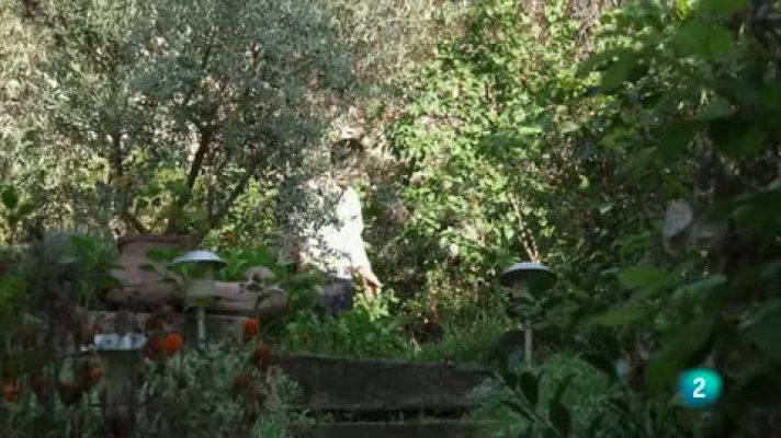 Las rutas Capone - Guiso de caparrones