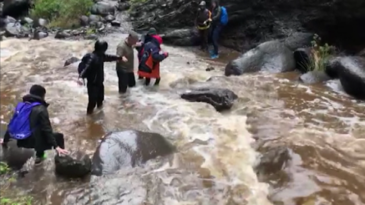 Telecanarias - Telecanarias - 26/02/2018