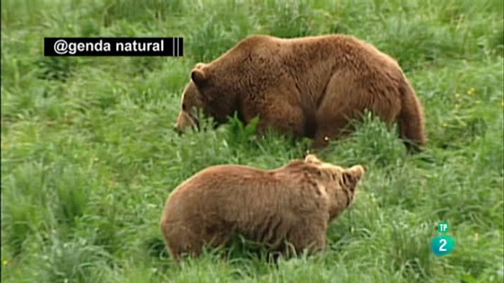 La aventura del Saber - Agenda Natural