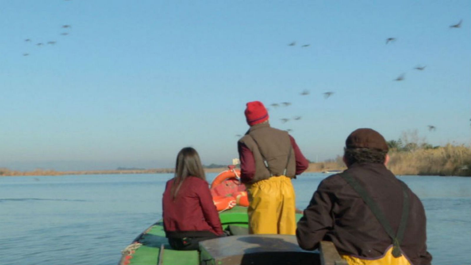 La anguila de la Albufera