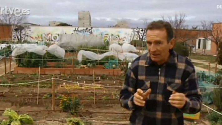 Aquí la Tierra - Antojo de espinacas