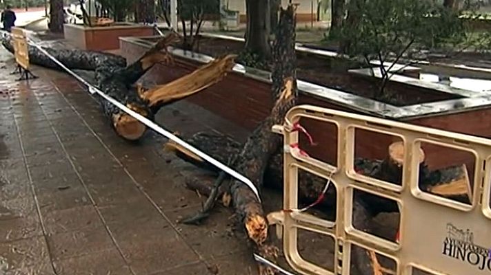 Telediario 1 - El temporal 'Emma' deja daños materiales en el litoral por el viento y fuertes precipitaciones