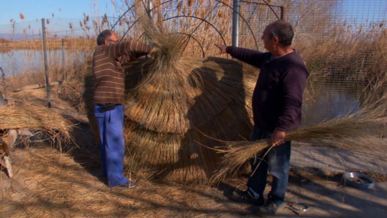Sombrillas que son para siempre