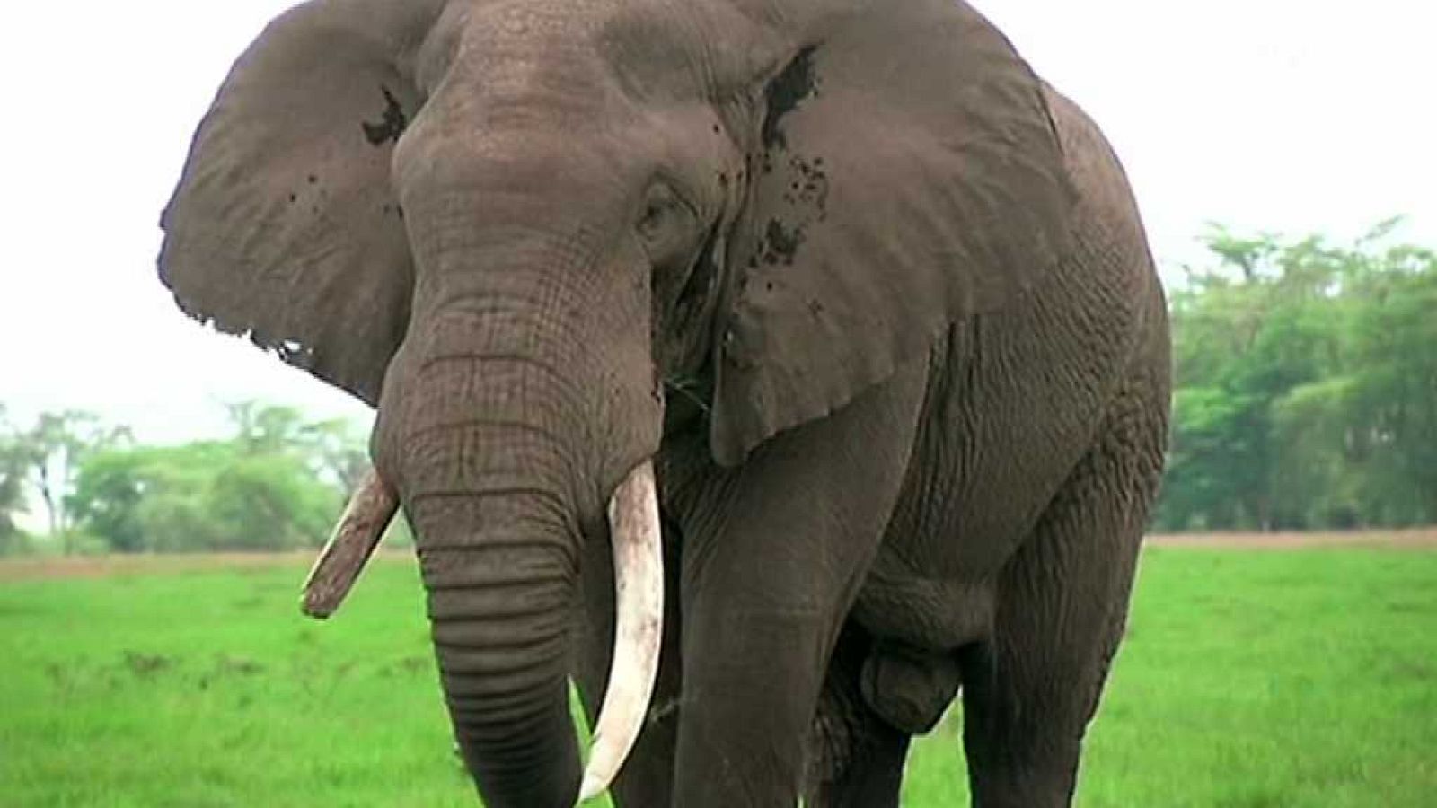 La 2 Noticias - 01/03/18 - ver ahora