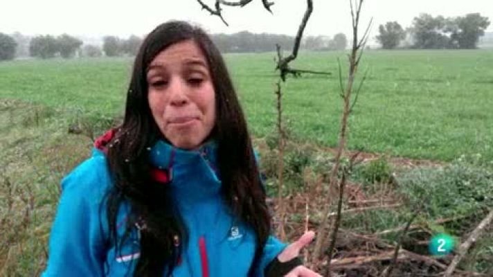 ¡Qué animal! - ¡Qué animal! recorre esta semana el desierto de Tabernas, el único desierto de Europa