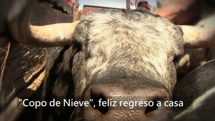 Tendido cero - Tendido Cero - 03/03/18