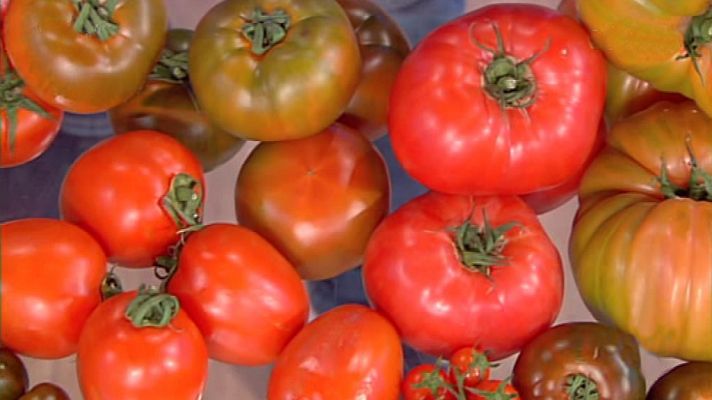 Saber vivir - Saber vivir - 05/03/18