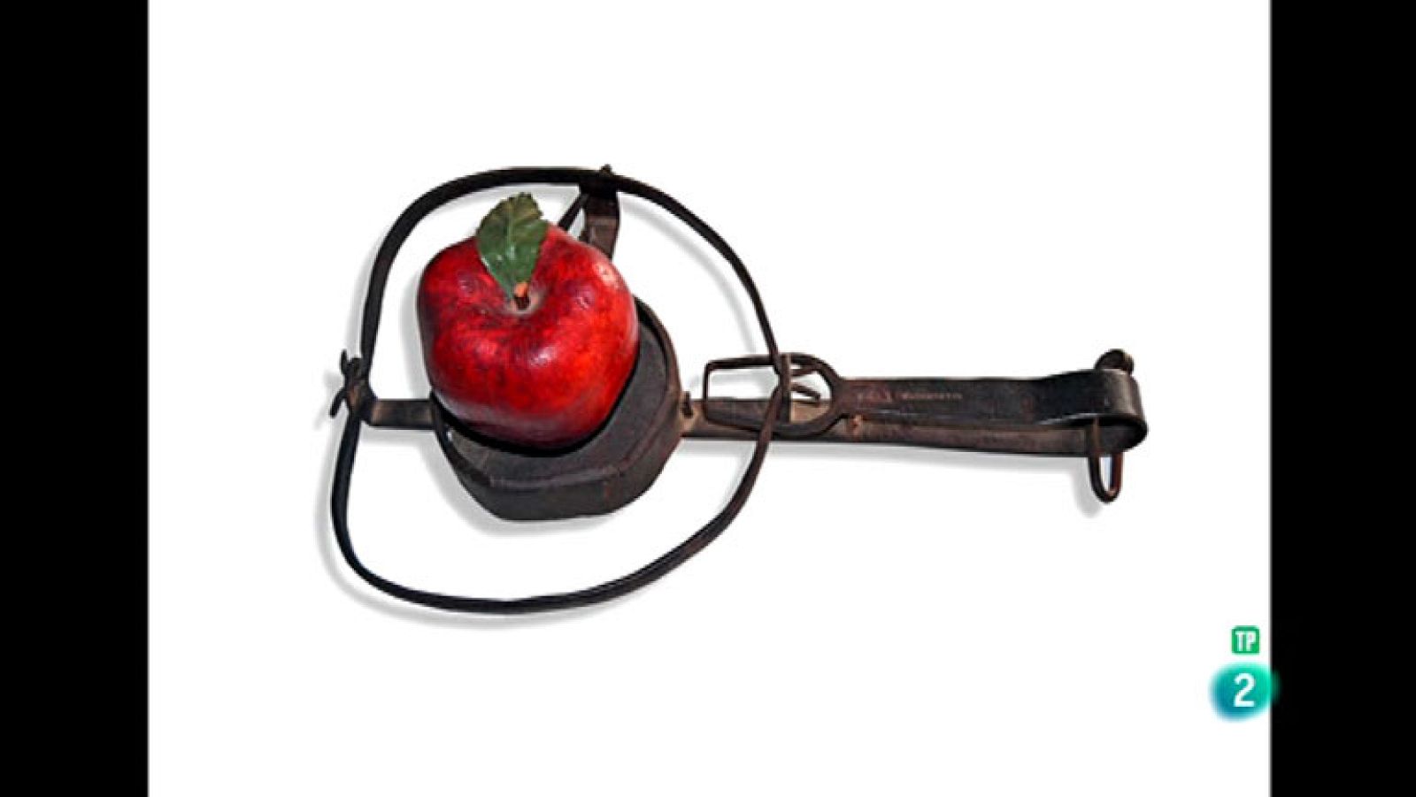 La Aventura del Saber. TVE. Boek visual: Joaquín Gómez