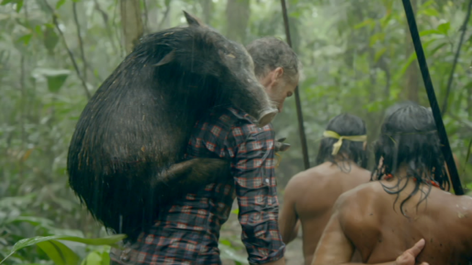 Documenta2 - Las tribus y yo: el pueblo de la anaconda de la Amazonia - ver ahora