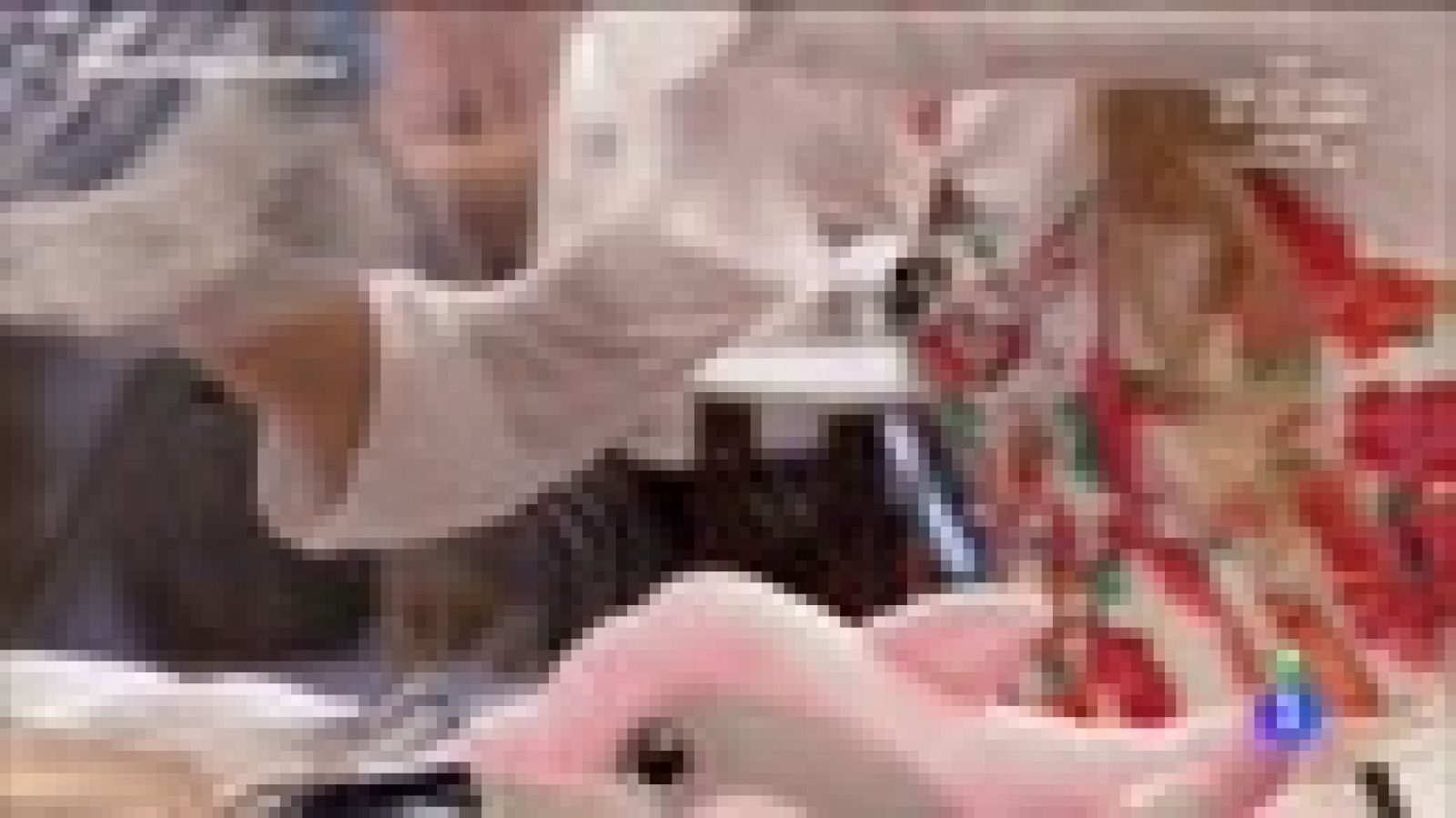 Colapso en la bordadora 