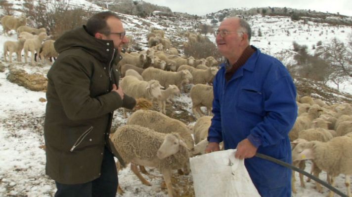 Aquí la Tierra - Eladio y su pequeño rebaño