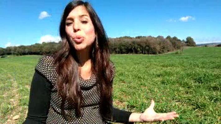 ¡Qué animal! - ¡Qué animal! recorre esta semana el Parque Nacional de Monfragüe, el único de Extremadura