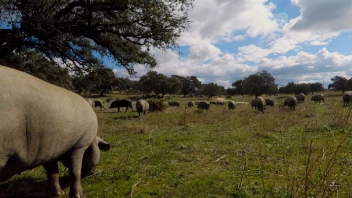 Aquí la Tierra - Una montanera ¡o dos!
