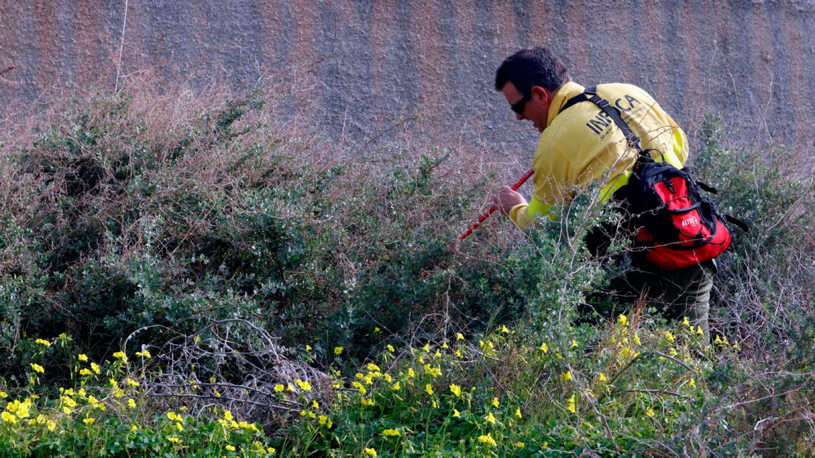 Se cumplen 11 días de la desaparición de Gabriel