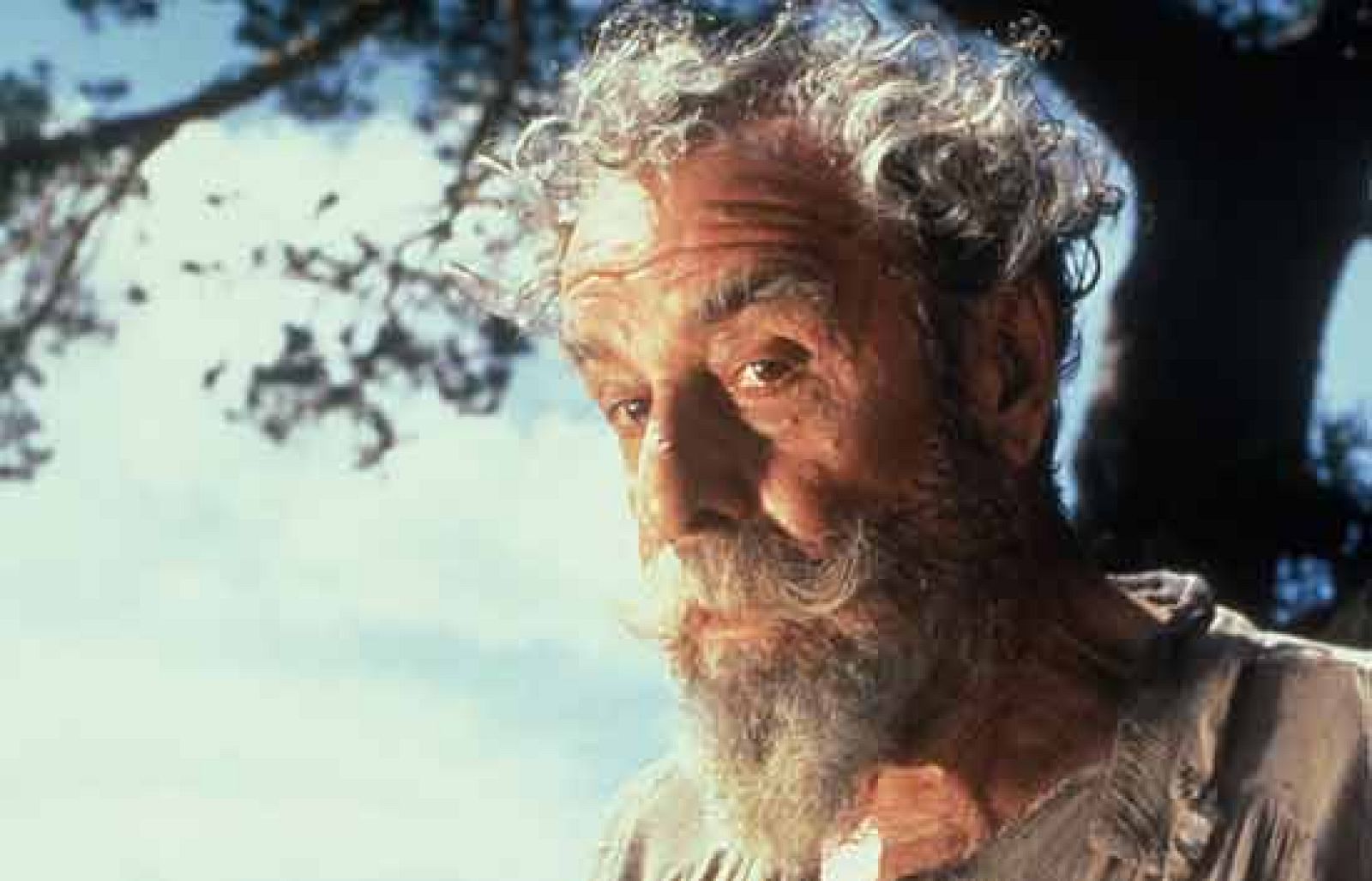 Informe semanal - Don Quijote: Fernando Rey es Alonso Quijano | Ver