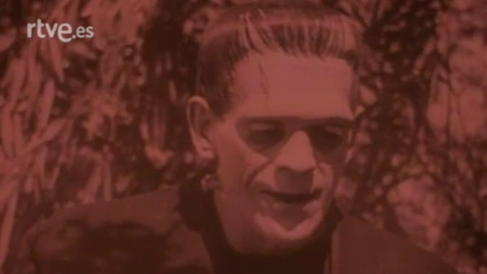 De película - Los bellos monstruos