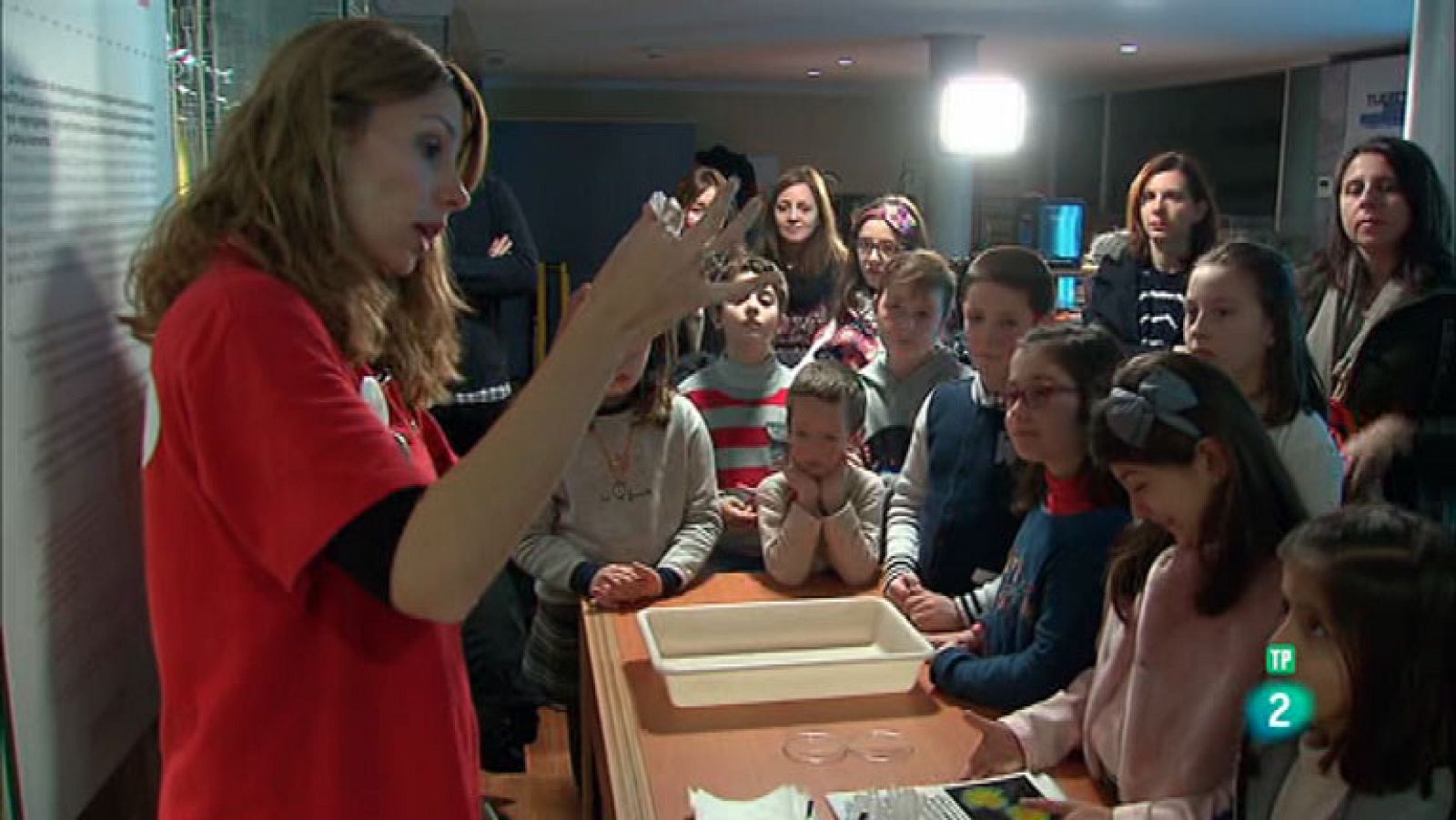 La Aventura del Saber. TVE. Talleres Museo Nacional de Ciencias Naturales