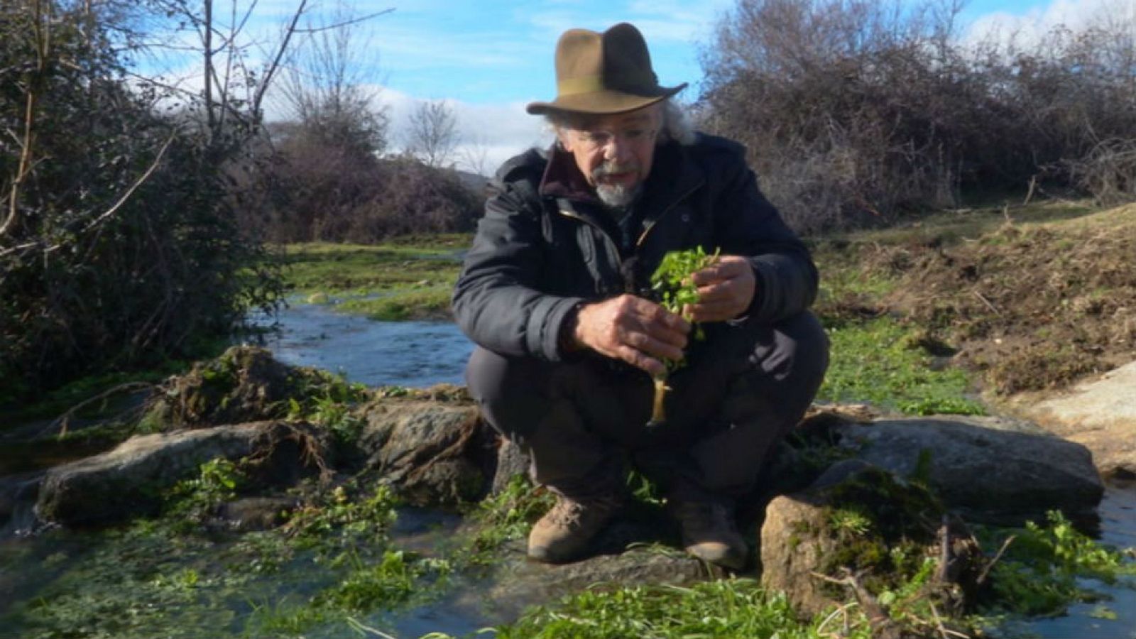 Berros, fuente de hierro