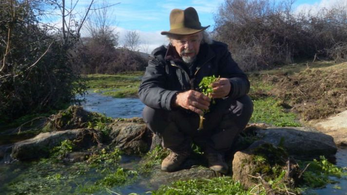 Aquí la Tierra - Berros, fuente de hierro