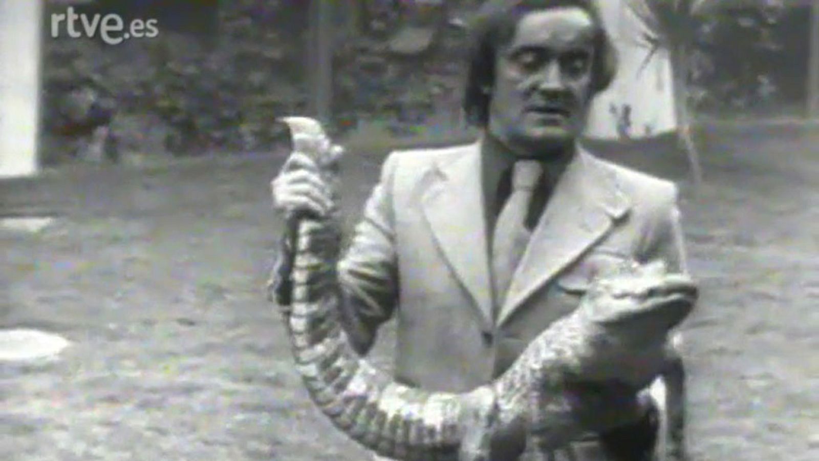 El planeta azul - Los dragones