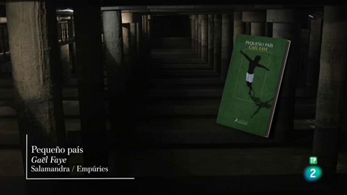 Página Dos - Pequeño país, Anatomía de un escándalo y Las cuentas...