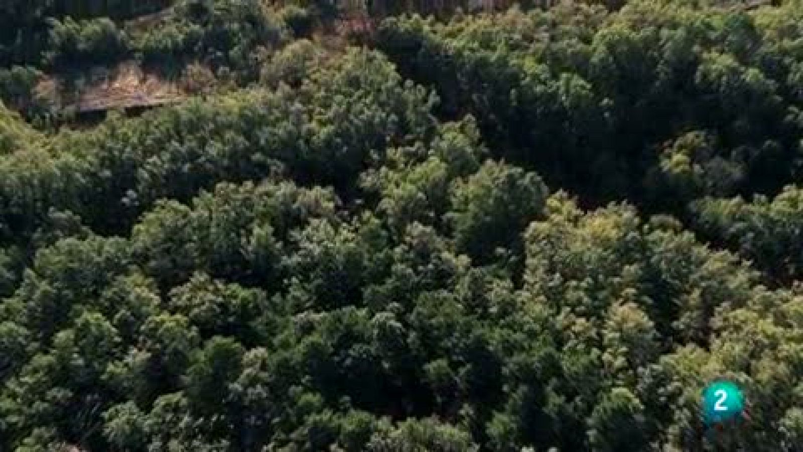 Roberto llega a un escenario de película: La Vera