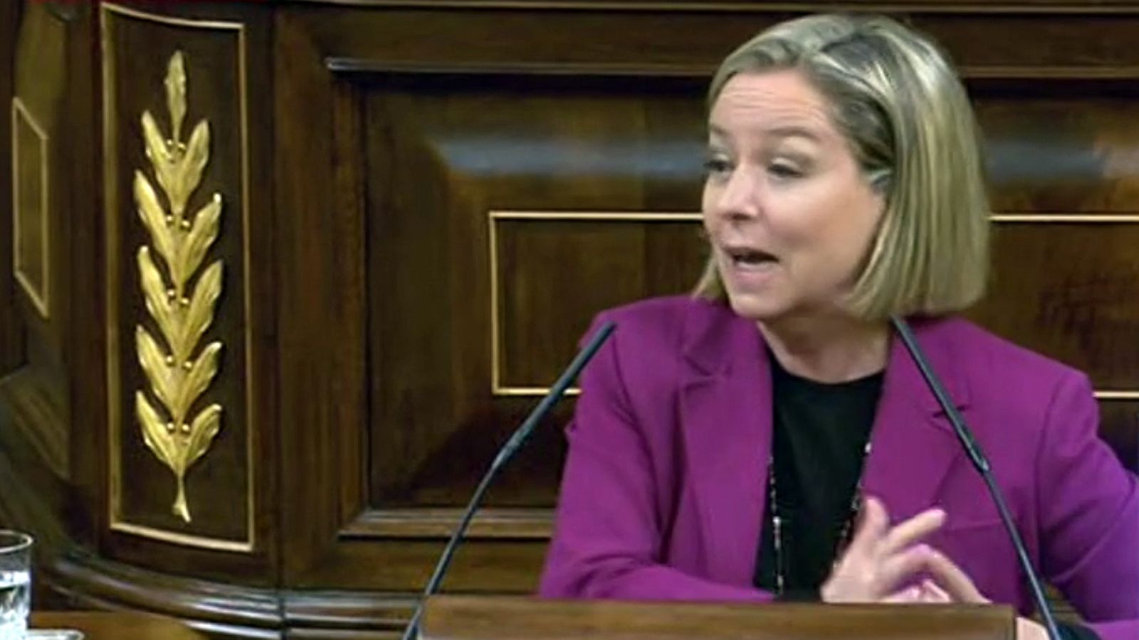 Oramas (CC) defiende en el Congreso la actualización de las pensiones no contributivas según el IPC