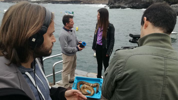 Aquí la Tierra - El torrezno del mar