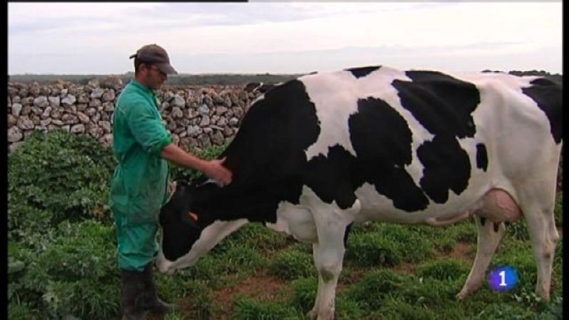 Fira del Camp d'Alaior.