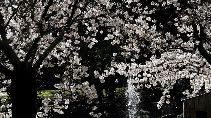 El tiempo - Cielo nuboso y precipitaciones en casi toda España