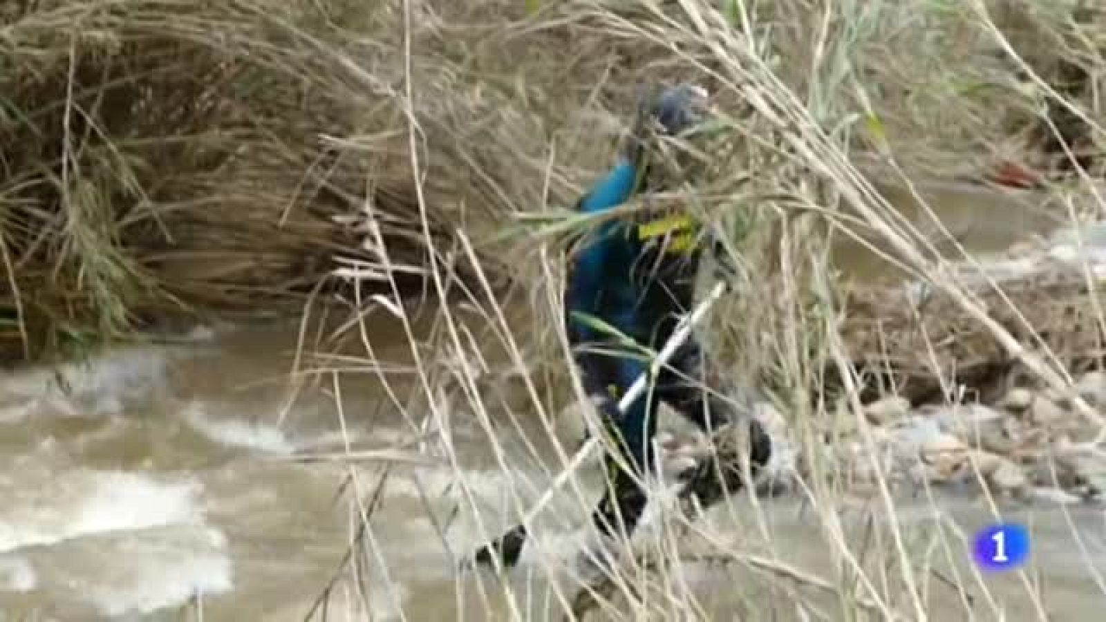 Continúa en Guillena, Sevilla, la búsqueda de un cabo de la Guardia Civil