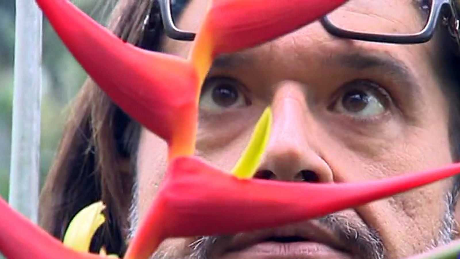 El botánico Carlos Magdalena comparte en un libro su experiencia salvando especies