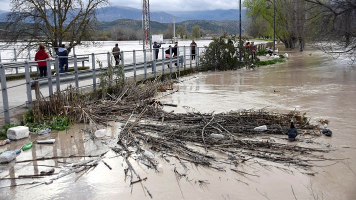 Telediario 1 - El temporal de nieve, lluvia y viento provoca daños en Andalucía