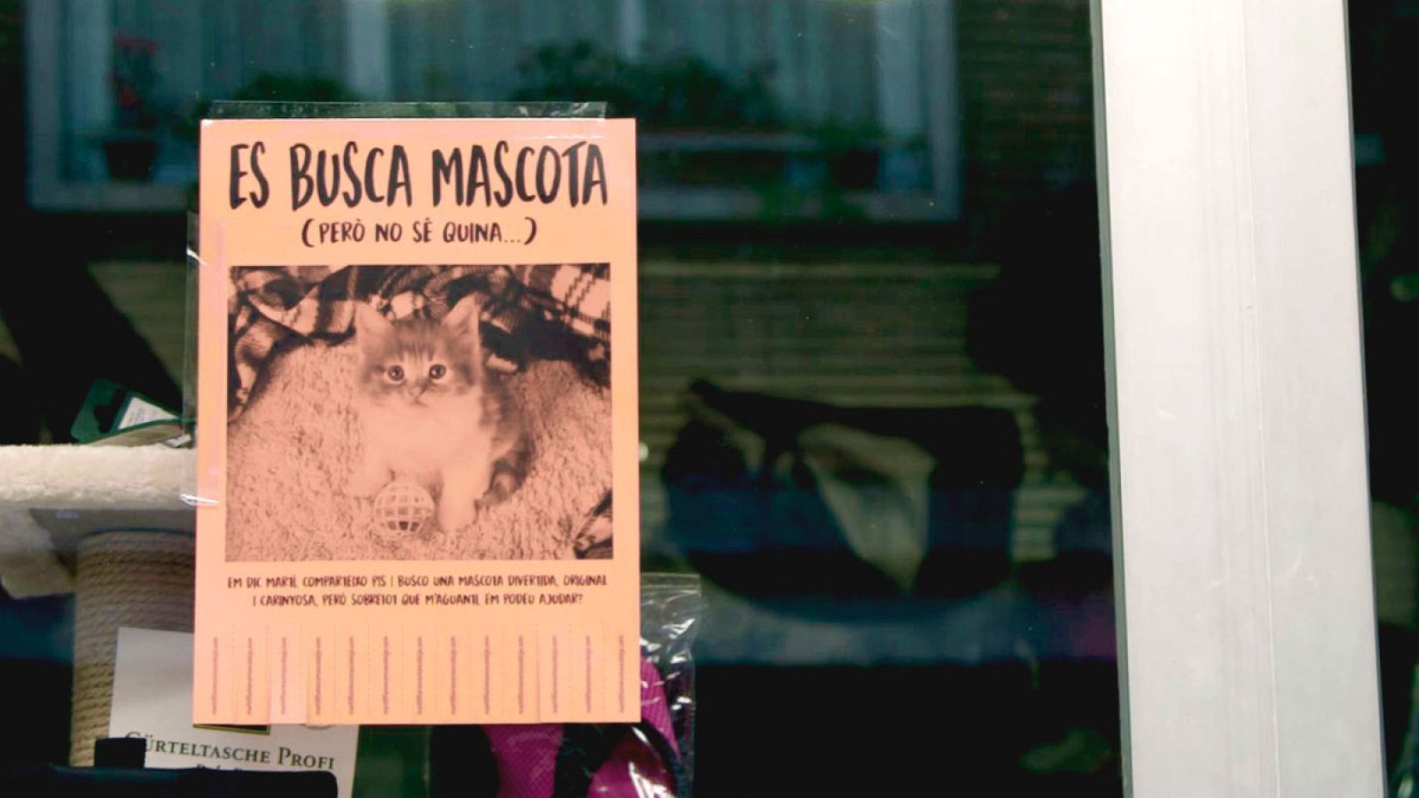 La meva mascota i jo - Ens ajudes a trobar la mascota m�s divertida de Catalunya?