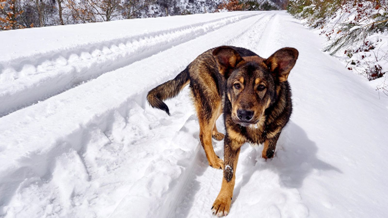 Telediario 2 en cuatro minutos - 20/03/18 - Ver ahora