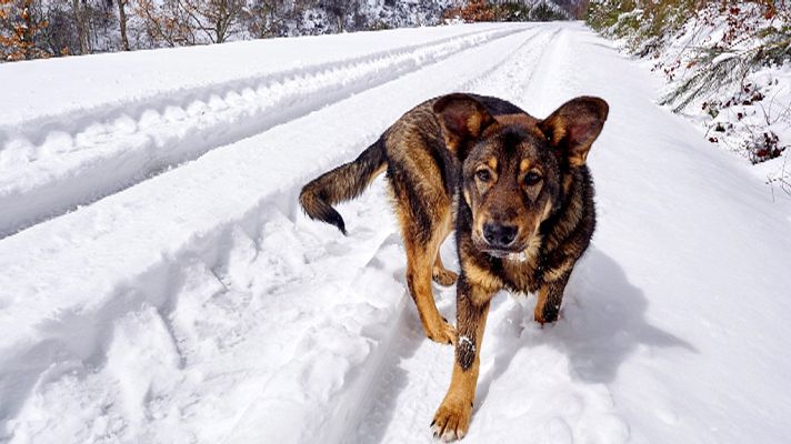 Telediario 1 - Telediario 2 en 4' - 20/03/18
