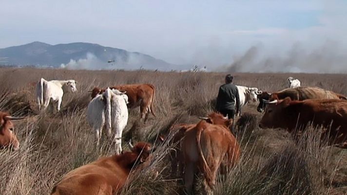 L'informatiu - Comunitat Valenciana - La Comunidad Valenciana en 2' - 21/03/18