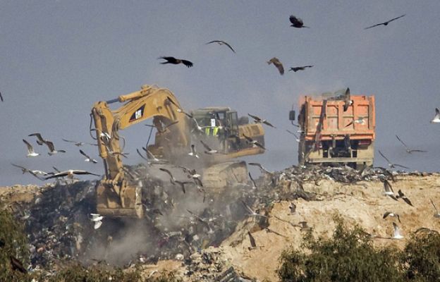 - Comienza búsqueda en el vertedero