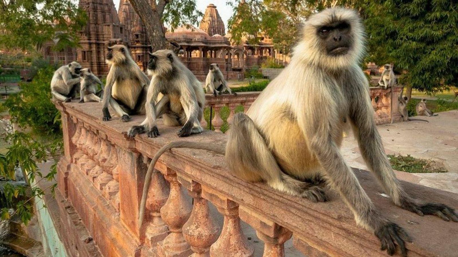 Grandes documentales - La India oculta: Tierra de montañas - ver ahora