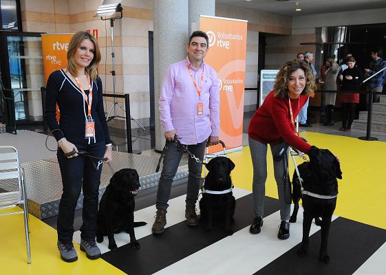  - Perros guía en RTVE