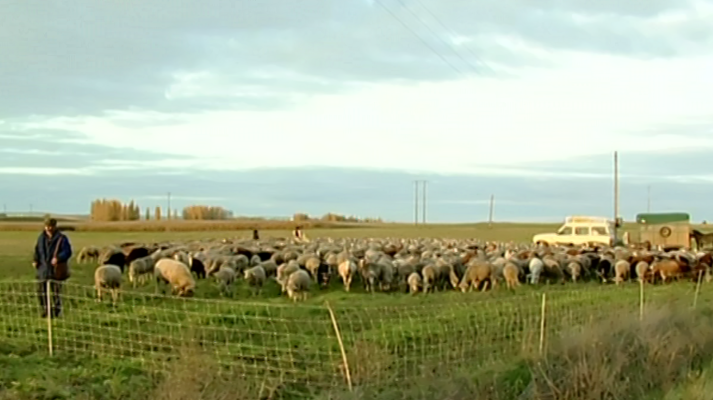 Espacios naturales - La Ca��ada de las Merinas
