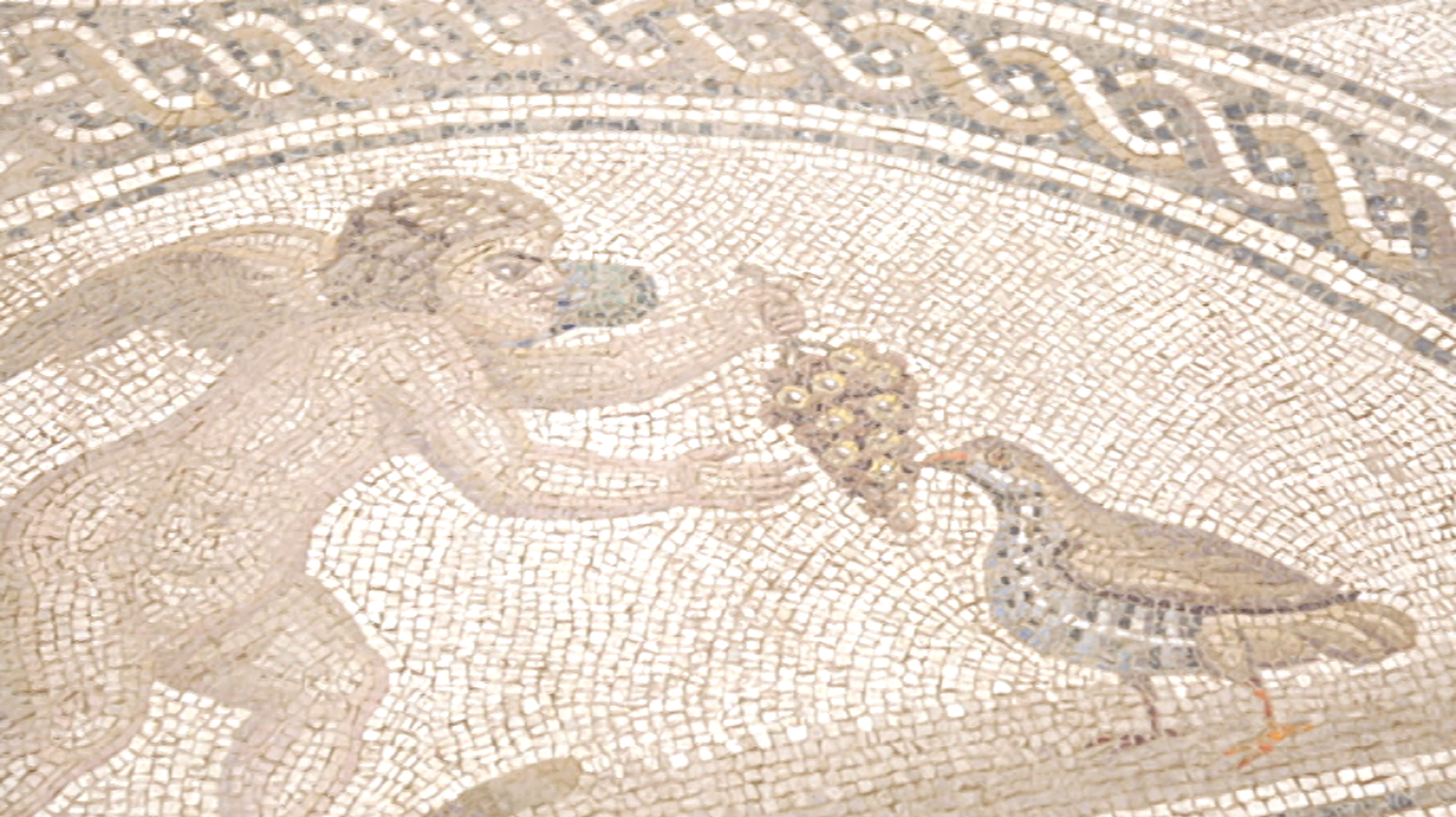 Arqueomanía - Museo Bíblico de Montserrat - ver ahora