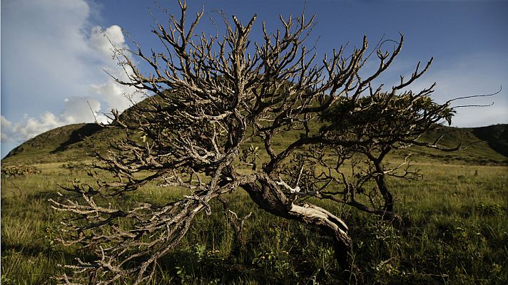 Informativo de Madrid - El Tiempo en la Comunidad de Madrid - 26/03/18