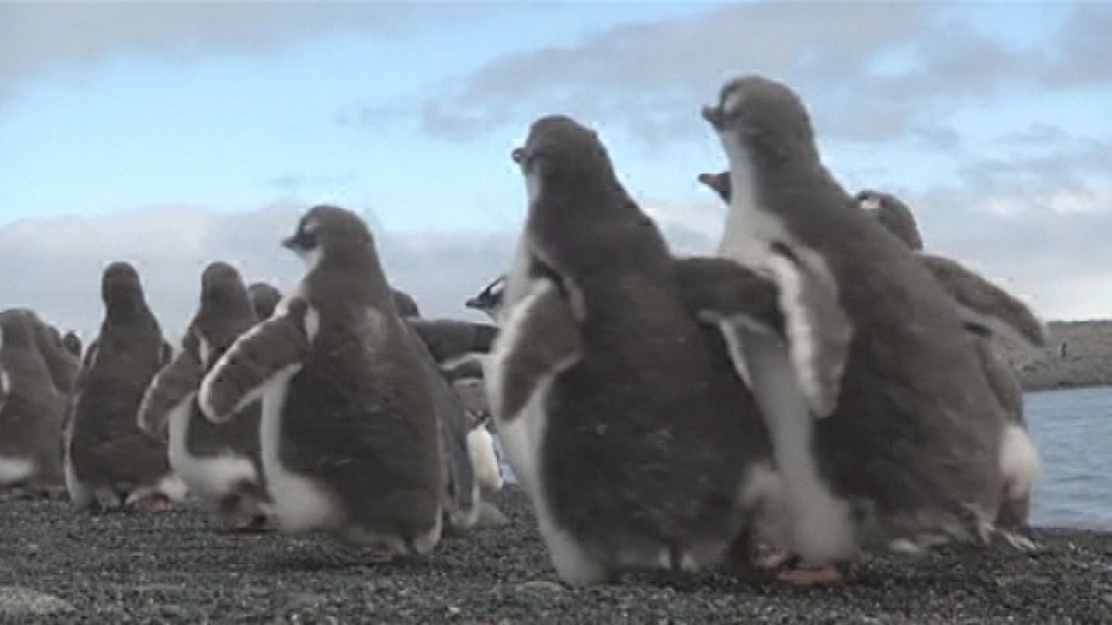 Teleplaneta - 26/03/2018 - Teleplaneta | Ver