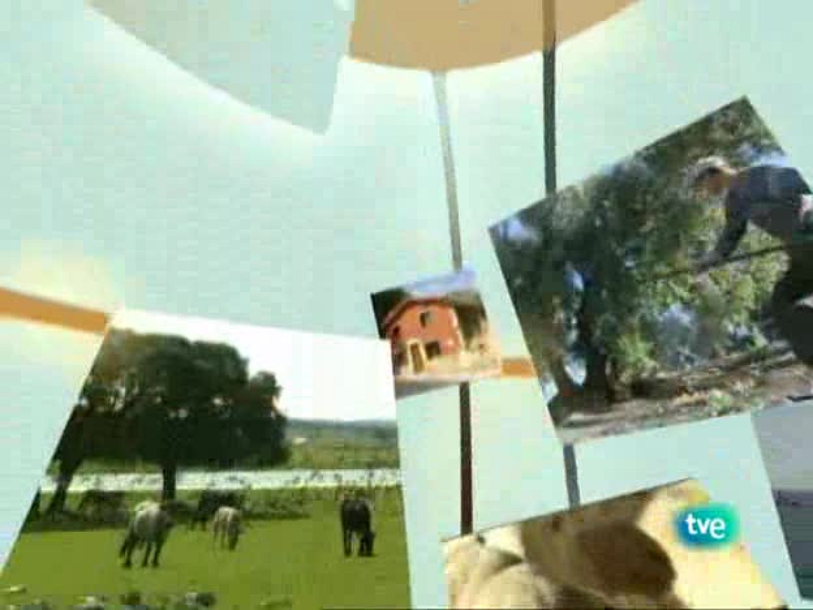 Agrosfera - 21/03/09 - Agrosfera | Ver